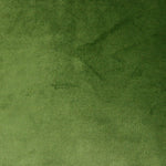 Load image into Gallery viewer, McAlister Textiles Matt Fern Green Piped Velvet Cushion Cushions and Covers