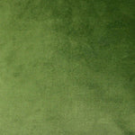 Load image into Gallery viewer, McAlister Textiles Matt Fern Green Velvet Fabric Fabrics 1 Metre 
